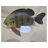 Shawn Boegeman Bluegill