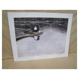 Maurer  Ducks Unlimited>>>