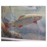 Conservation Edtion Print>>