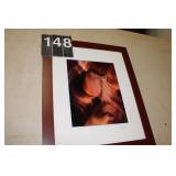 23" X 17" Owl in Cave Picture