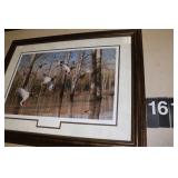 30" X 36" Mallard Duck Picture