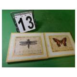 2 8" X 10" Pictures Mosquito - Butterfly