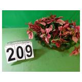 Poinsetta Planter