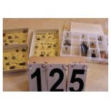 Nice Rock Collecting Starter Set