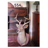 Deer Mount