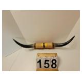 Bull Horns 26.5" From Tip To Tip