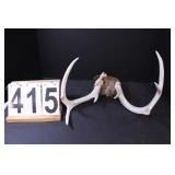 8 Point Deer Rack