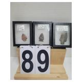 Group of 3 Arrow Heads from Tennessee