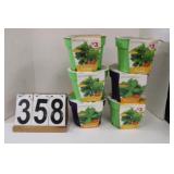 6 Containers Of Grow Your Own Parsley - Basil