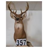 Deer Mount