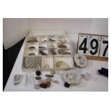 Box Of Fossils - Quartz Rocks - Other Collector -