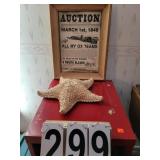 Star Fish ~ 1849 Auction Advertisement