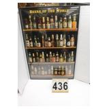 Beers of The World Picture 36"T X 24"W