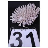 White Coral 8" X 6"