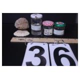 Selenite Rose Sitting on A Scallop Shell-