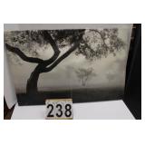 Tree Picture 24" X 36"
