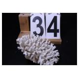 White Coral 7" X 5"