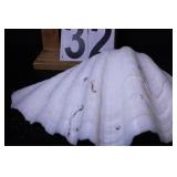 Giant Clam Shell 14.5" X 9.5"