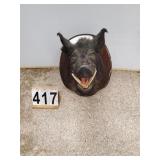 Mounted Boar w/ Plaque