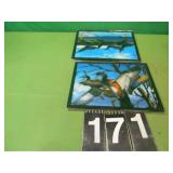 Holographic Pictures