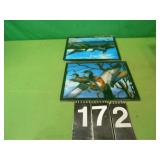 Holographic Pictures