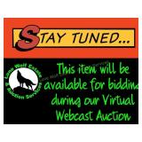 Surprise! Watch LIVE To Check Out Our Wait & See