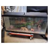 55-Gallon Fish Tank