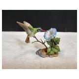 White-Eared Hummingbird w/ Morning Glory