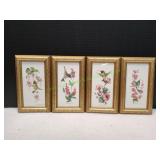 (4) 4.5x9.5 Framed Hummingbird Prints