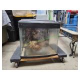 Reptile Aquarium