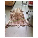 Animal Hide