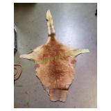 Animal Hide