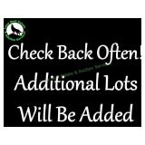 Lots Will Continue to be Added