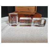 (3) Glass Paperweights in Wood Box