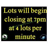 NOTE: THIS AUCTION WILL BEGIN CLOSING AT 7PM