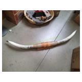 69" Mounted Bull Horns