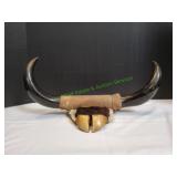 23" Mounted Buffalo Horns