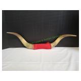 28" Mounted Bull Horns