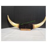 22" Mounted Bull Horns