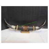 19" Mounted Bull Horns