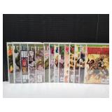 (13) World War Hulk Marvel Comics