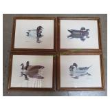 (4) Vtg 13x16 Framed Duck Prints by Richard Sloan