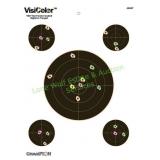Champion VisiColor Targets