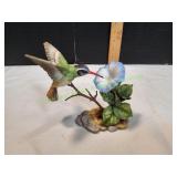 White-Eared Hummingbird w/ Morning Glory White-Eared Hummingbird w/ Morning Glory