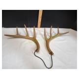 Rattling Antlers