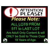 PLEASE NOTE: ALL LOTS FROM HERE UNTIL END