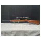 Ruger 10/22 22LR Rifle