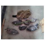 (6) Duck Decoys in Netting Bag