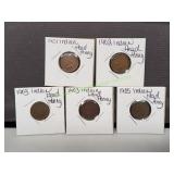 (5) Indian Head Pennies