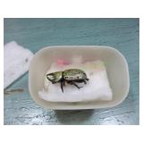 Preserved Male Western Hercules Beetle